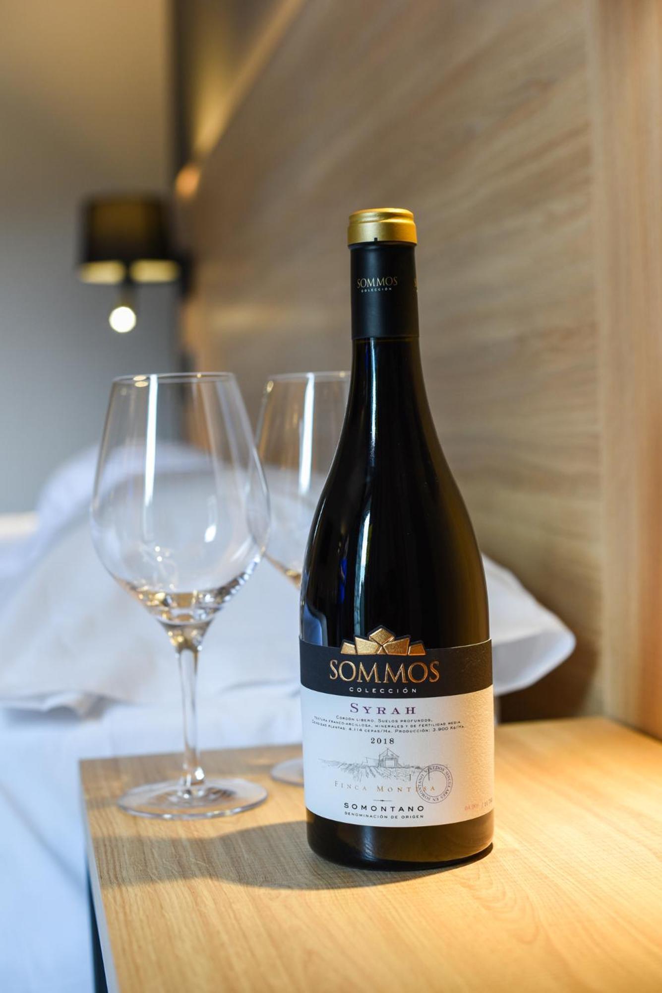 Sommos Hotel Benasque Spa Екстер'єр фото